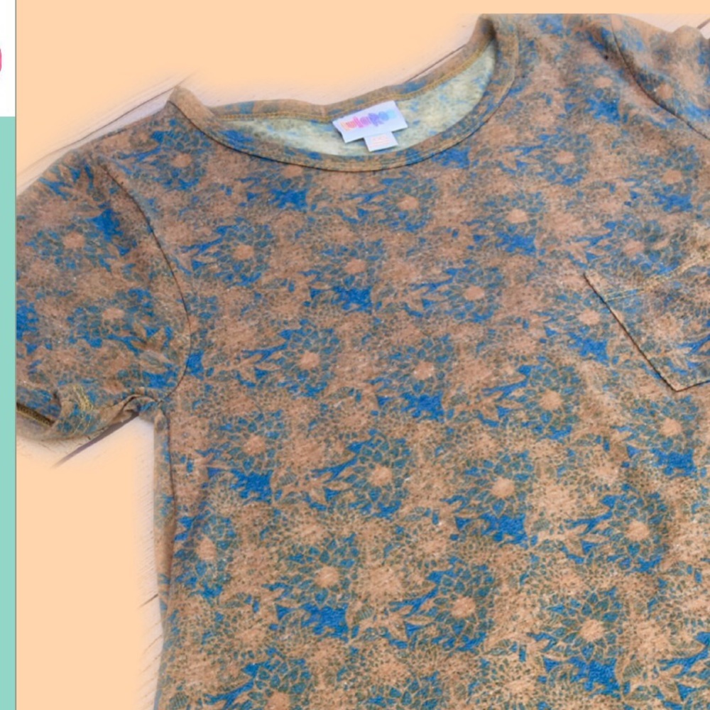 NWT Lularoe Carly dress